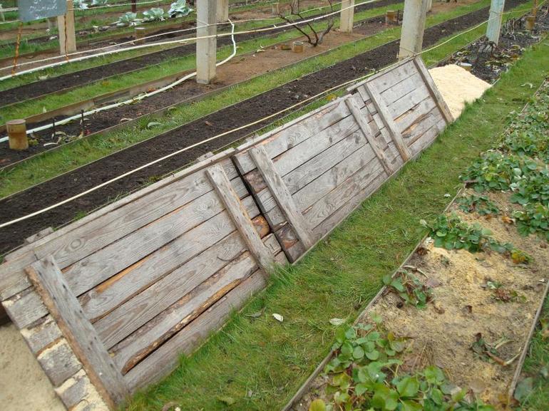 Installation de protections en bois de chaque côté de la vigne.