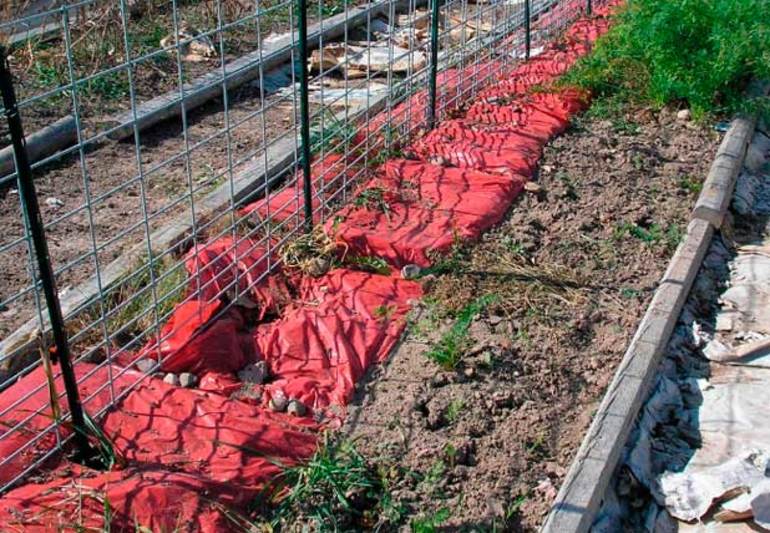 Couvrir les vignes pour l'hiver
