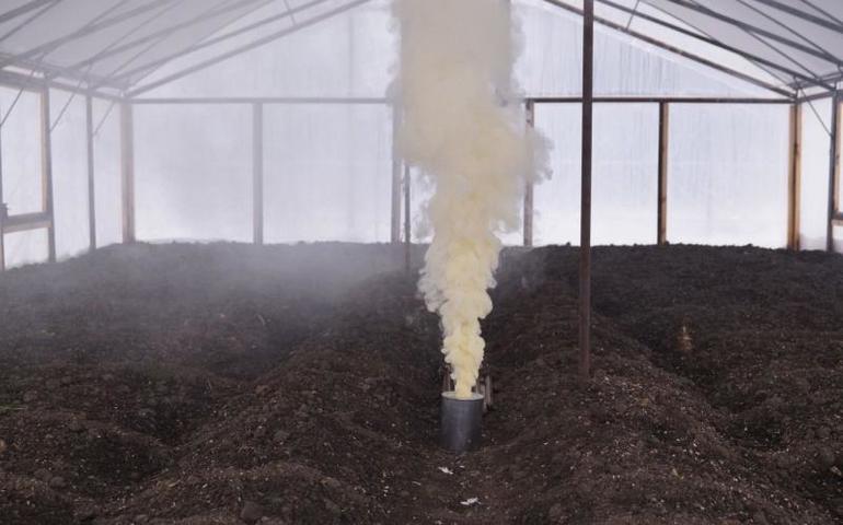 Herbstbehandlung eines Polycarbonat-Gewächshauses
