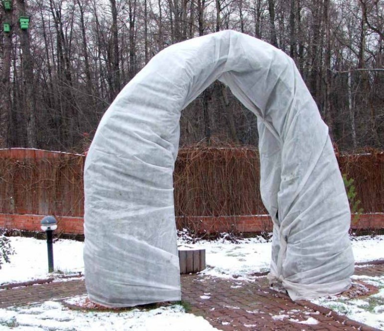 Abdeckung für Kletterrosen
