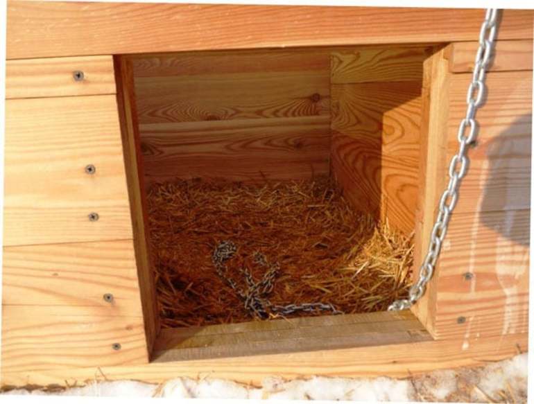 Wie man Boden und Wände in einer Hundehütte isoliert