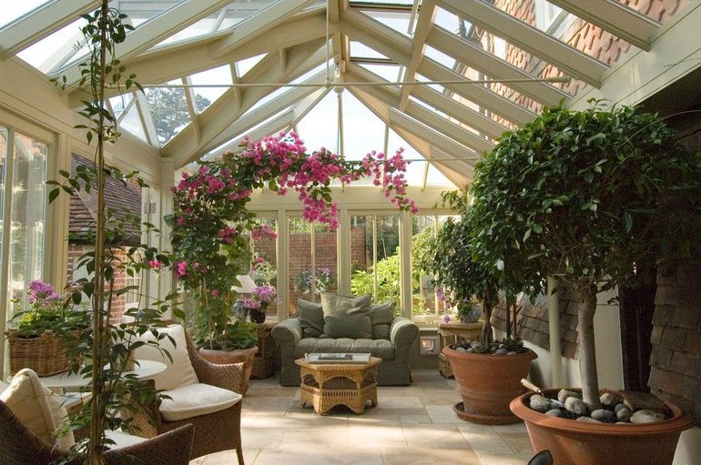 Piante e fiori invernali per la casa