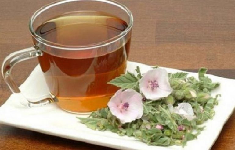 Ένα αφέψημα από βότανο wintergreen