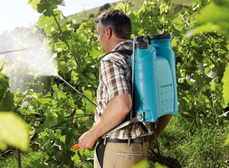 Methoden zum Besprühen von Weintrauben