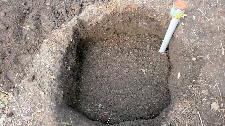 Préparation du trou de plantation