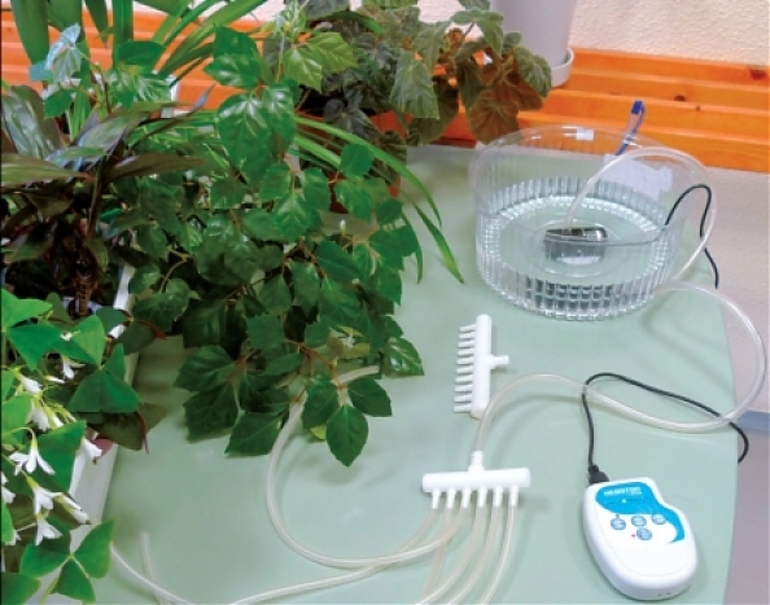 Automatische Bewässerung im Garten