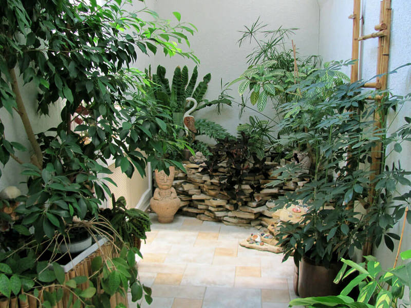Grüner Garten im Haus