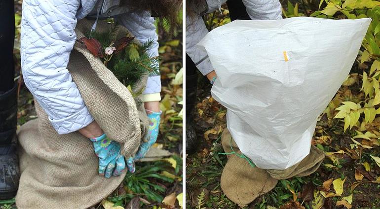 Abdeckmaterial für Weintrauben für den Winter