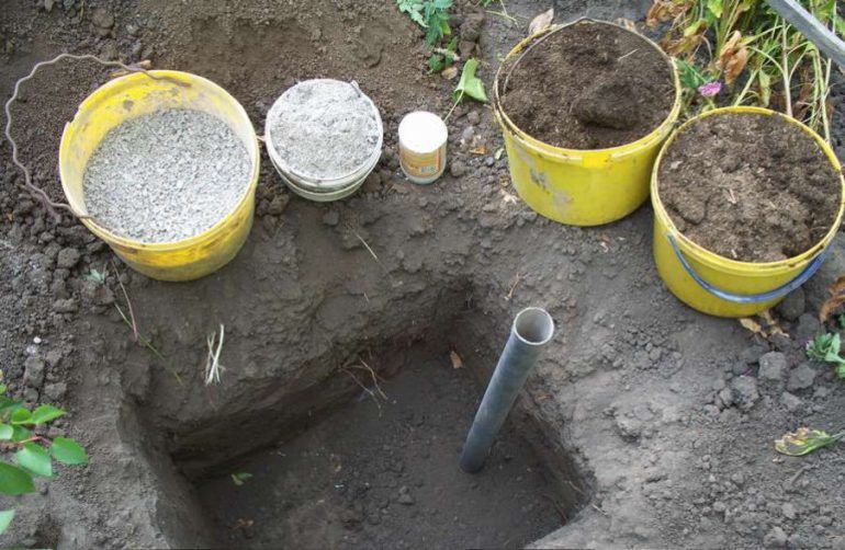 Preparar un hoyo para plantar esquejes de vid