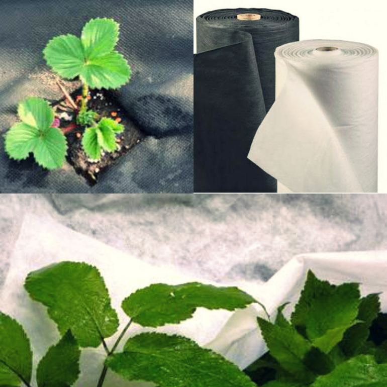 Abdeckmaterial für Beete und Gewächshäuser