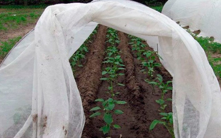 Abdeckmaterial für Gartenbeete