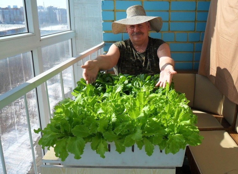 Platz für ein Gartenbeet
