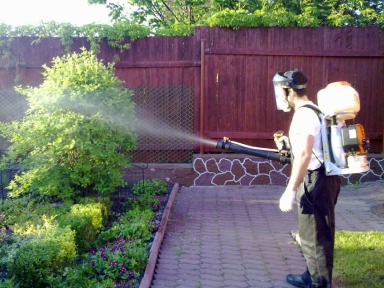 sulfate de cuivre en jardinage en automne