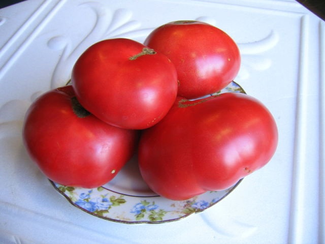 Comment cultiver des tomates Raspberry Miracle