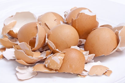 Les coquilles d'œufs comme engrais