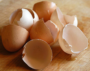 Les coquilles d'œufs comme engrais