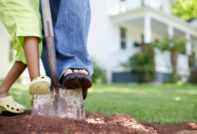 Il giardino di una persona pigra che non viene zappato