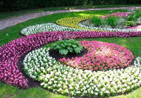 progettazione di un appezzamento di giardino