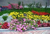 Conception de parterre de fleurs à faire soi-même pour votre datcha