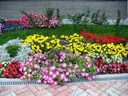 Conception de parterre de fleurs à faire soi-même pour votre datcha