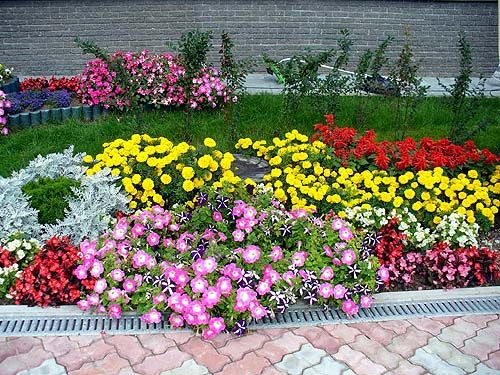 Conception de parterre de fleurs à faire soi-même pour votre datcha