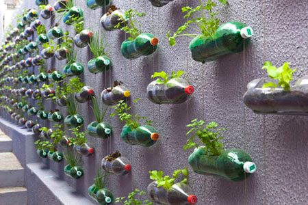 dalle bottiglie di plastica