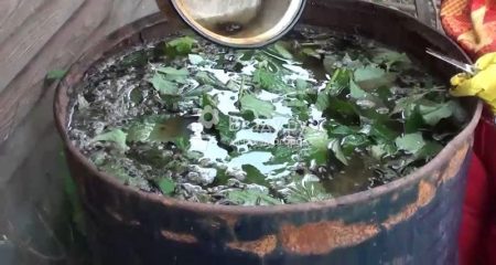 Abono de tomates a base de hierbas