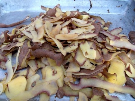 bucce di patate