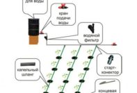 Système d'irrigation goutte à goutte à faire soi-même pour votre datcha