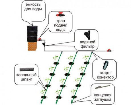 Système d'irrigation goutte à goutte à faire soi-même pour votre datcha