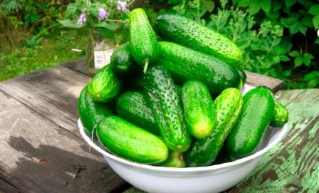 cetriolo universale