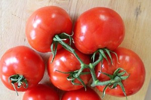 Le migliori varietà di pomodoro per le serre nella regione di Mosca