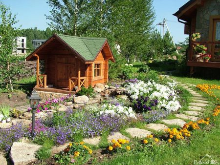Wie man mit eigenen Händen ein 6 Hektar großes Sommerhausgrundstück erschließt