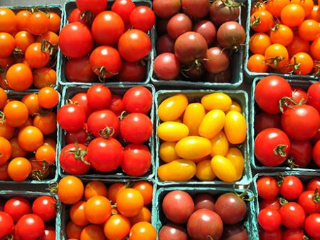Variétés de tomates de serre résistantes au mildiou