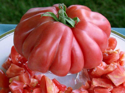 Tomate « Cœur de taureau » : caractéristiques et description de la variété