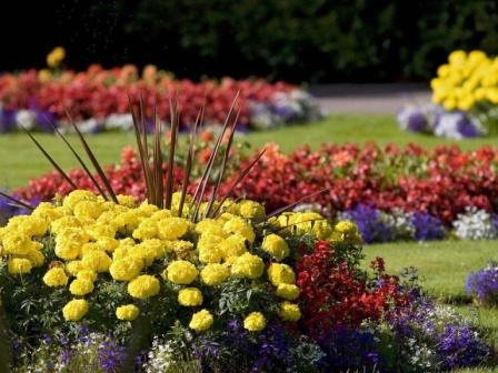 jardin de fleurs