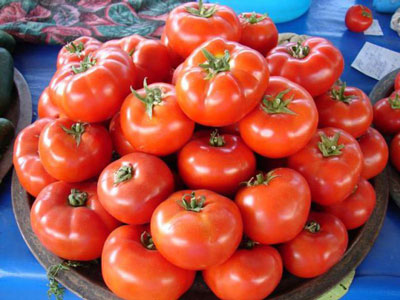 Tomate Gina : caractéristiques et description de la variété