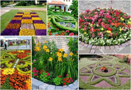 Hermosos macizos de flores de plantas perennes