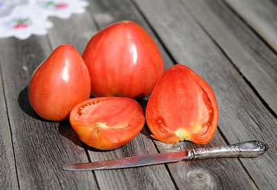 Tomate « Cœur de taureau » : caractéristiques et description de la variété