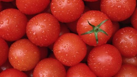 Домат "Буденовка": отзиви, снимки