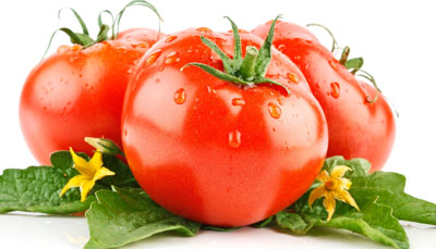 Fertilisation des jeunes plants de tomates à la maison