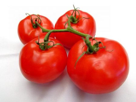 Tomatensorte „Katya“: Bewertungen, Fotos, Ertrag