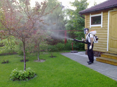 Wie man Bäume und Sträucher im Garten im Frühjahr gegen Schädlinge behandelt