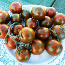 Variétés de tomates cerises pour pleine terre