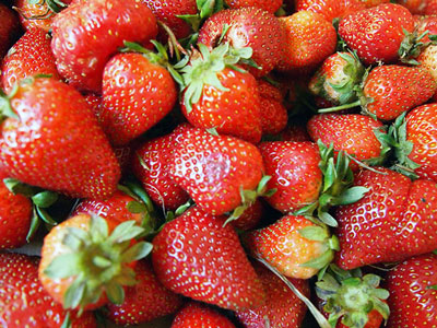 Wie man Erdbeeren im Frühjahr gegen Krankheiten und Schädlinge behandelt