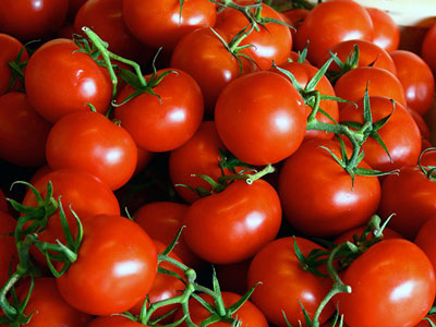 Come nutrire le piantine di pomodoro per farle diventare carnose