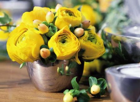 Ranunculus: Açık alanda dikim ve bakım, fotoğraflar