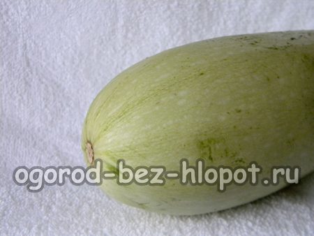 Cultiver des courgettes en pleine terre