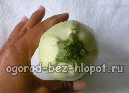 Comment cultiver des courgettes en extérieur