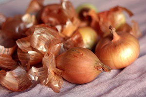 Pelures d'oignon pour le jardin ou le potager, application